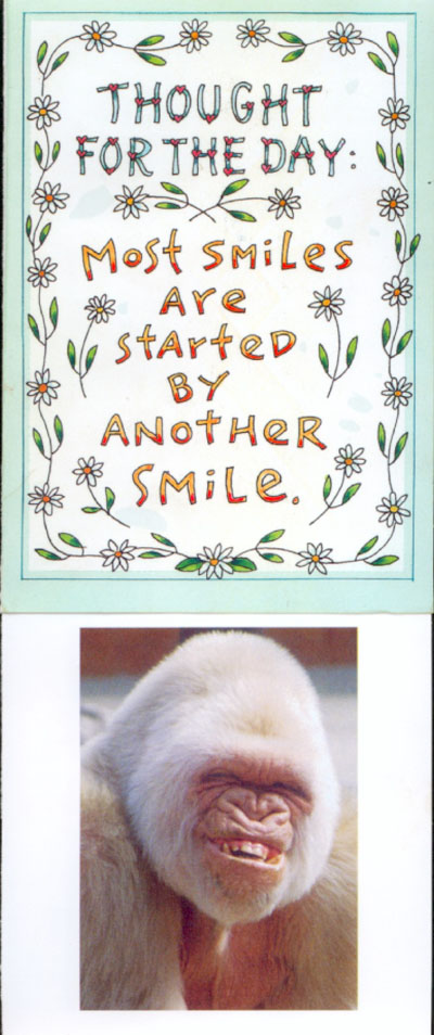 Thought For The Day: Most smiles are started by another smile.