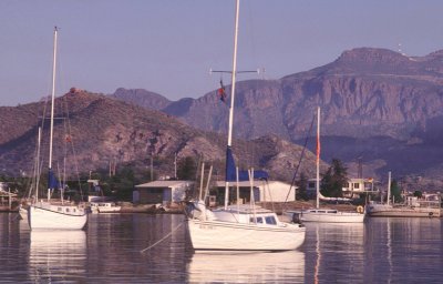 Boat_trips.jpg (31487 bytes)